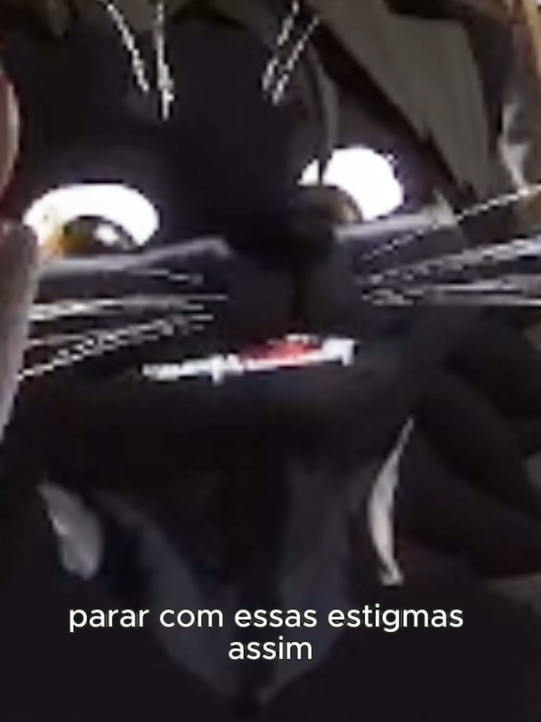 Parte 2 PODCAST FurFusion EP2 com a participação do Akira e do Luzzy!  video completo aqui: https://youtu.be/PwzkxKv0gnY?si=725V11_rJrexTt7i#furrybrasil #furry #brasil #vrchat #vr #podcasts #bff #brasilfurfest #brasilfurfest2025