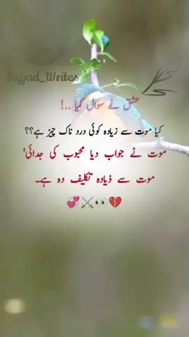 best lines 🥀💔💯@⚔️SajjadWrites⚔️ #foryou #lines #viral #ghalib #grow 