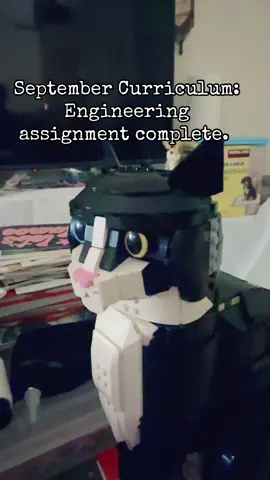 My first engineering assignment got done, which was really fun. I got this tuxedo cat Lego set for my birthday and I was super excited to incorporate this into my September curriculum I have one more set to do for this month. #curriculum #curriculumvitae #legotiktok #curriculumclub #thegreatlockin