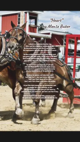 “Heart” by Monte Baker ❤️ #pullinghorses #horsepower #marepower #horsepulling #heart 