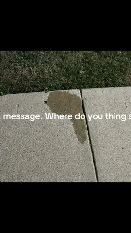 Message from Dog
