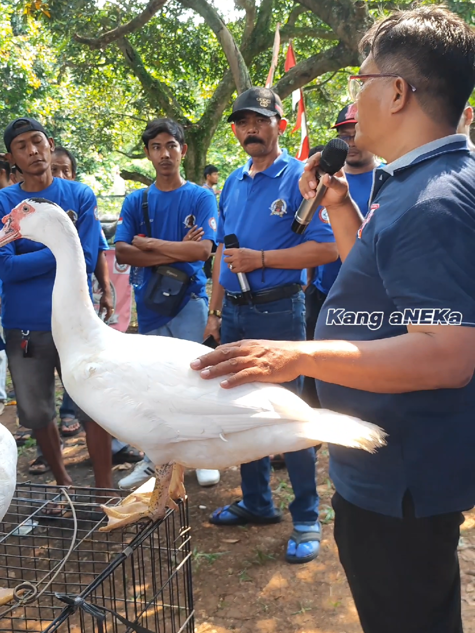 Telur Entok Jumbo Banyak yang Gagal Menetas ♨️♨️ -- informasi selengkapnya cek liputan lengkapnya di YouTube aNEKa Channel Official -- #kanganeka #pakanentok #pakanmurah #ideusaha #peternak 
