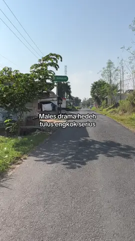 #katakata 