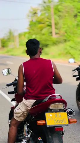ගමටම කියලා මන් 🌝❤️ #hornet #hondahornet250 #honda #hornet250 #hondahornet 