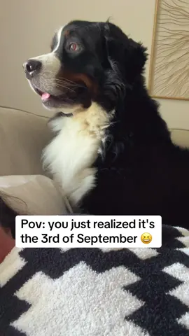 Sept 3 🧐 