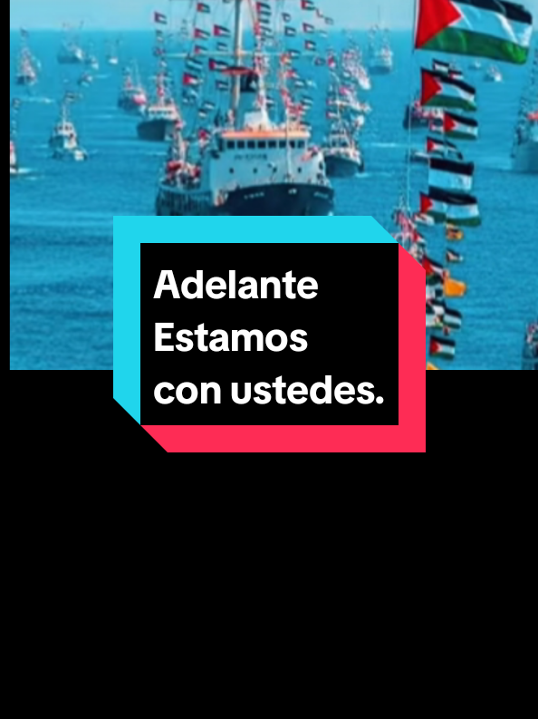#palestinasomostodos #freepalestine #globalsumutflotilla 
