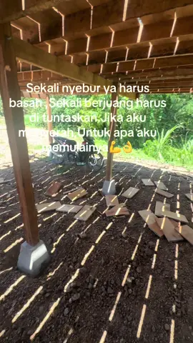 #pengorbanan tidak akan sia sia##💪💪💪 
