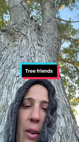 Thanks tree #indie108 