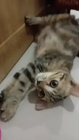 empus # dulu dan sekarang @ sama tertawa bahagia