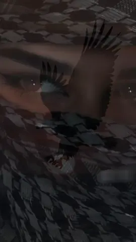 مش بتوع حشيش صيدبن الصقر ✌🏻✌🏻✌🏻ام صقر 🦅🦅وغزلان 🦌🦌