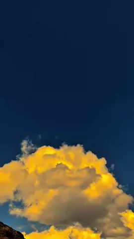 زندگی کا حقیقی حسن دیکھنے کے لیے درست انسان سے محبت ہونا ضروری ہے۔۔!!🙃