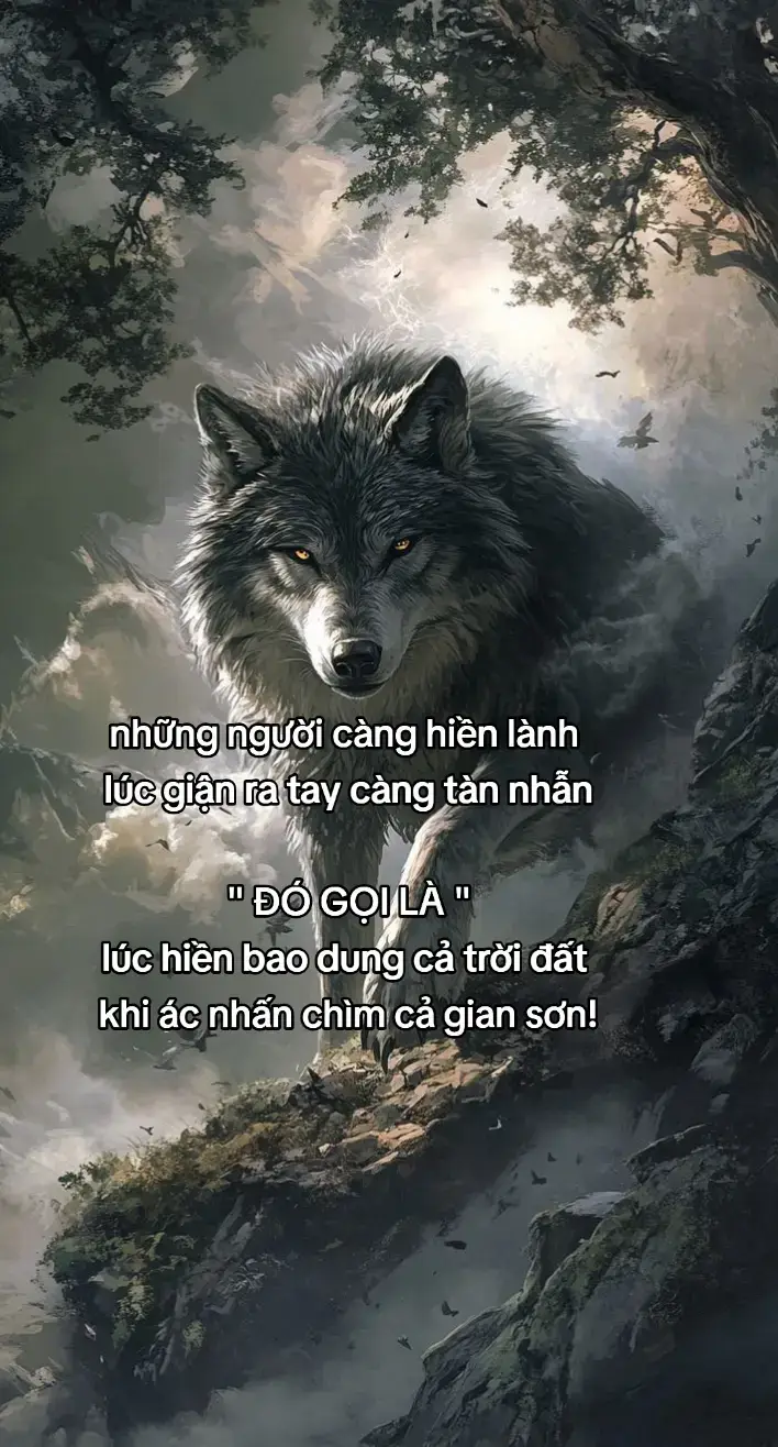 #xuhuongtiktok 