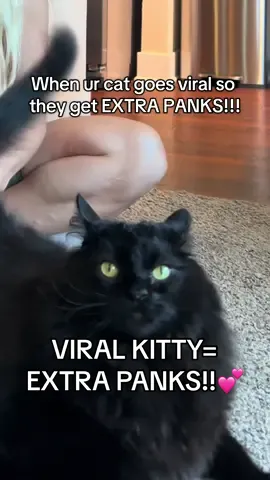 He’s always hankerin’ for a pankerin’ #asmr #catsoftiktok #funnycat #blackcat #fyp 