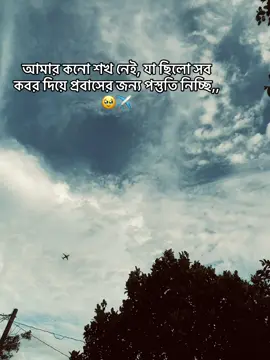 আমার কনো শখ নেই, যা ছিলো সব কবর দিয়ে প্রবাসের জন্য পস্তুতিনিচ্ছি,🥹✈️#foryoupage #foryou #viralvideo #bdtiktokofficial🇧🇩 