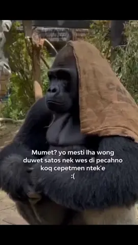 Mumet pora ? #storytime #fypシ゚viral #ujianhidup 