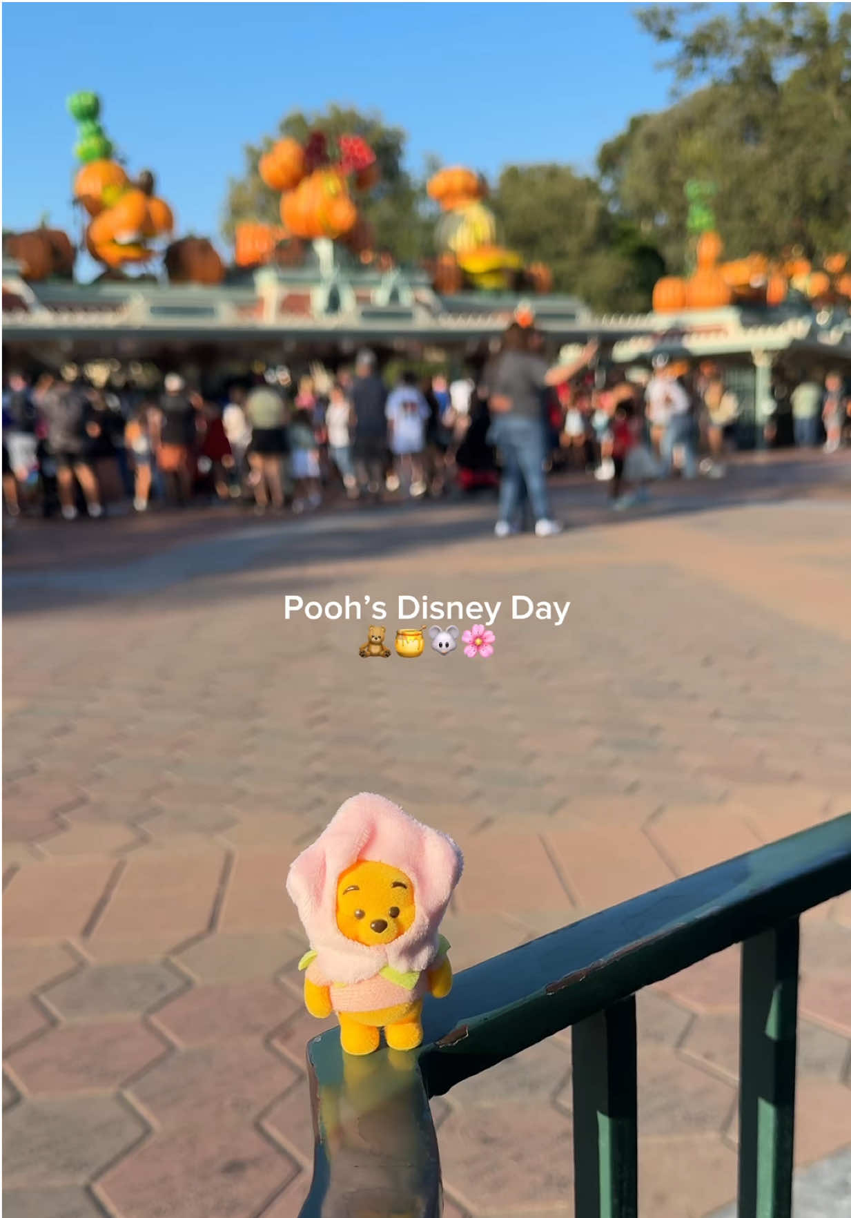 after unboxing this cutie blind box i had to bring him along to Disney 🤭  @MINISO @MINISO US #winniethepooh #miniso #blindbox #disney #evelyntorres 