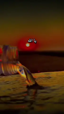 #أكسبلور_شعر_حكم_خواطر 