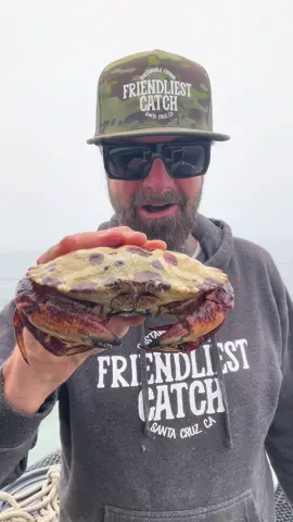 The Calico Crab caught again! #friendliestcatch #commercialfishing #fishing 