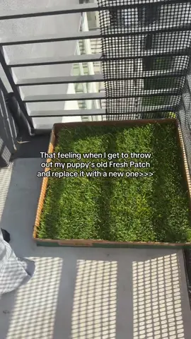 Best feeling🌱 @freshpatch #ad 