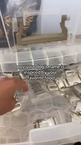 🍣 #dog #dogs #dogsoftiktok 