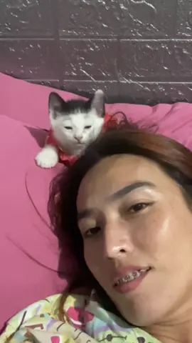 ม้าเต่อม้าใจ🐱😆 #ม้าเต่อ #แมสคลิปนี้🙏🙏 #cat #ฟีดดดシ #คนรักแมว 
