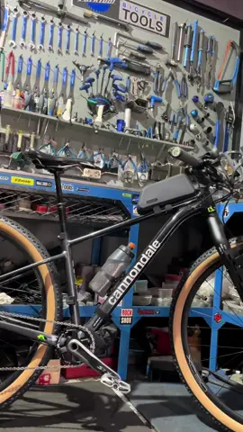 cannondale trail 3 xc gravel #cannondaletrail #dr_bike_garage2025