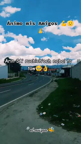 comparte y síguenos 💚