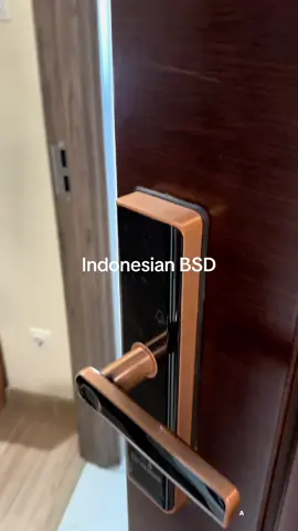 We are staying in a BSD in Indonesia! We have a 3 bed 2 bath and a ton of amenities! 🌍 We’re a travel family living the dream- remote jobs and work from home, budget family travel hacks and hidden gems around the world! ✈️ Real travel tips 2025, free things to do with kids and what its like living abroad with kids. Follow for more on traveling the world as a family! 🧳 