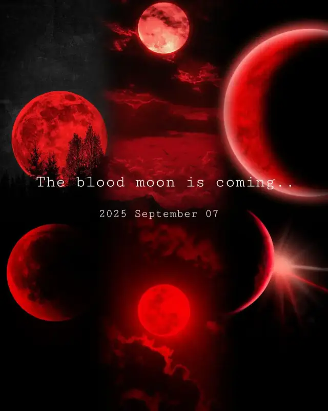 A special day for one and only..මියුන් ආඝර්ව අශාක්‍යසිංහ 💚 Plot23 by @Bulbz_D  #wattpad #plot23 #fyp #bloodmoon #Shano_Liyashi  @PV~ 