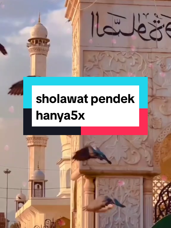 qobiltu ijazah