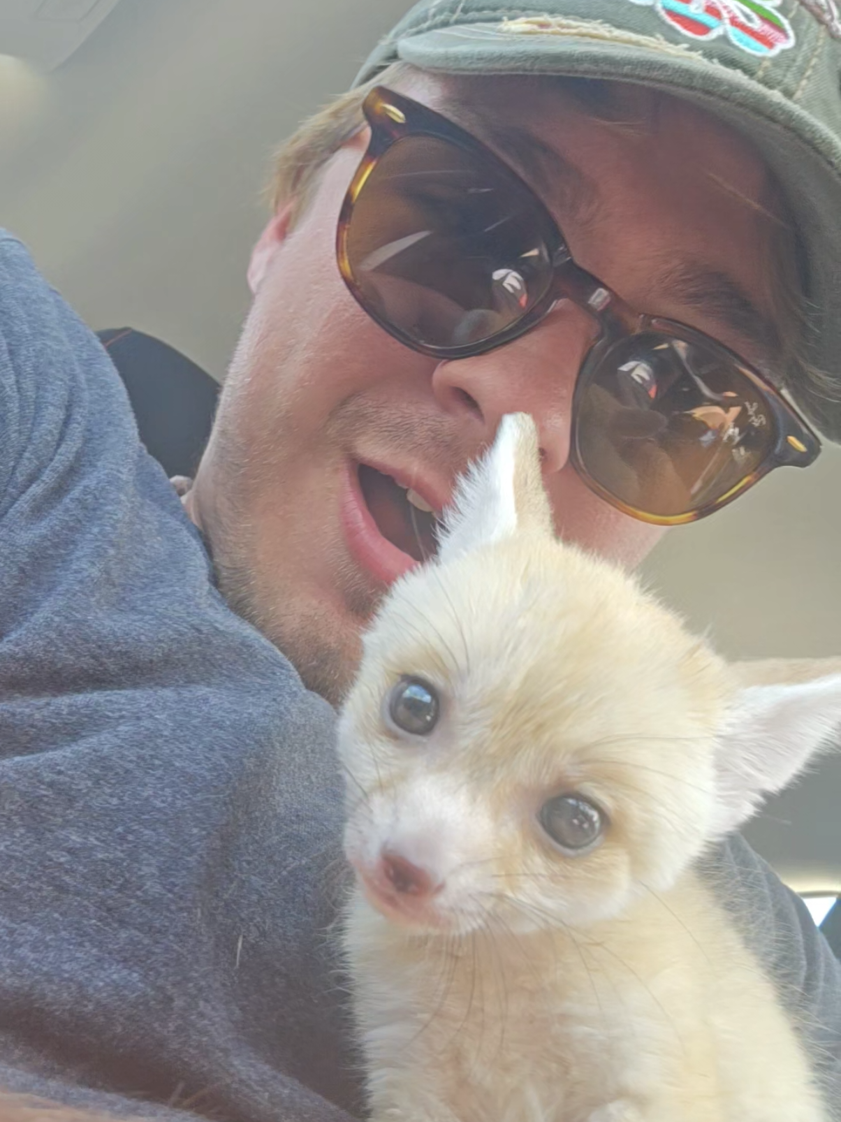 Replying to @trutty_frutty7 Everyone thinks they’re tiny, fluffy puppies with big ears… but the reality? Getting one is like trying to buy a pet straight out of a National Geographic documentary. Legal maze – Some states let you own them, others will fine you, and in some places they can actually take the animal away. Exotic breeder waitlists – You can’t just “order” one. Most reputable breeders have year-long waitlists and strict requirements. Huge price tag – We’re talking several thousand dollars just to take one home. Special care – They aren’t like dogs. They need exotic diets, special enclosures, and endless enrichment, or else your couch (and your sanity) gets destroyed. 24/7 energy – Imagine a hyper puppy… but with the climbing skills of a cat, the digging instincts of a fox, and the volume of a smoke alarm at 2 a.m. So yeah, they look cute on TikTok, but behind the scenes it’s a serious challenge. Owning one isn’t just about cuddles—it’s a full-time lifestyle. #viral #fyp #fennecfox #baby #cute 