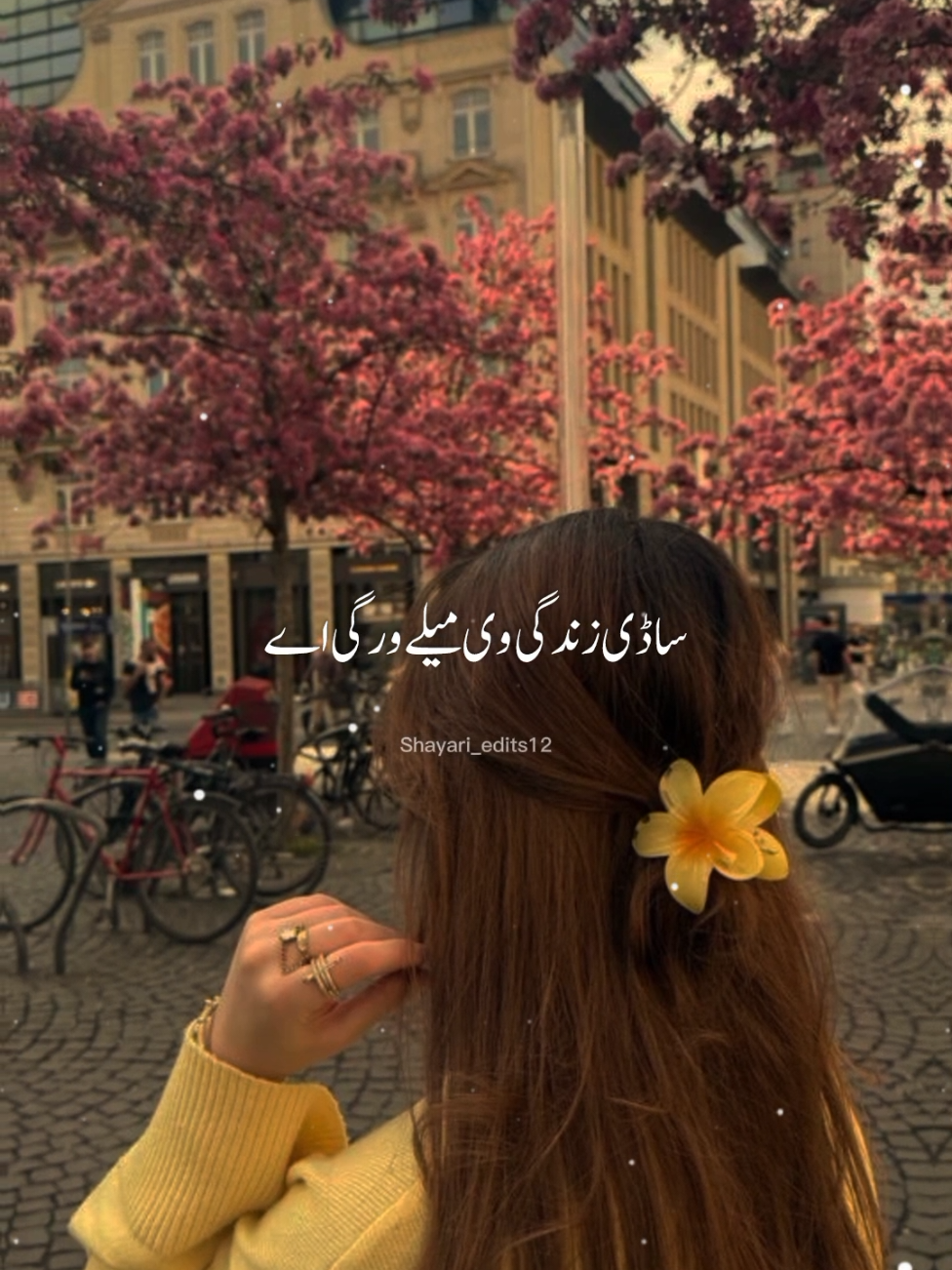 sadi Zindagi mele wargi....😔💔🥺🥀🍁 #glintofthoughts💫 #urdu #urdushayari #fyp#100k 
