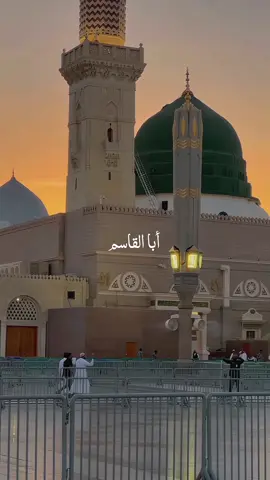 أبا القاسم يا حبيبي يا محمد اللهم صلي وسلم وبارك على سيدنا محمد وعلى آله وأصحابه أجمعين 🤍 #قرآن_كريم #Quran_karim #تلاوة_خاشعة 