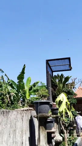 #layangsikepbali