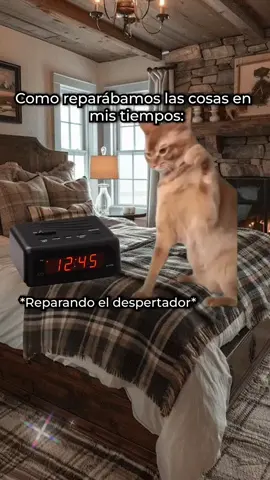 #cat #santacruzdelasierra🇳🇬 #bolivia🇧🇴 #fyp #humor 
