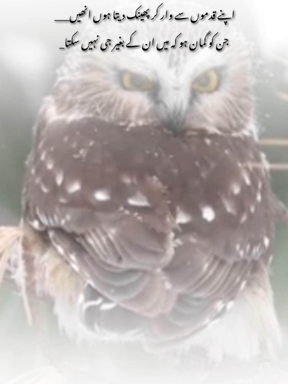 ❤‍🩹🥺#foryou #flypシ #1millionaudition #mtehseen #poetry @TiktokPakistanOfficial @TikTok 
