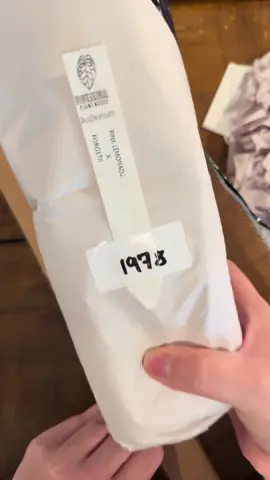 Pink Lemonade x Forgettii #anthurium from @Fontanimal Plant House  #unboxing #plantmail #plants #fyp 