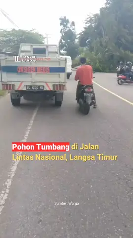 Satu pohon tumbang ke badan jalan lintas Medan - B. Aceh tepatnya di perbatasan alue pineung timue dan seneubok antara, Langsa Timur (4/9). 