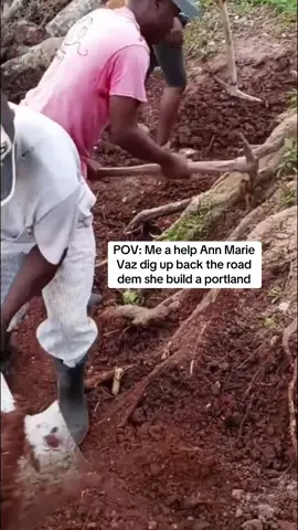portland people ungrateful yf😂🤦🏽‍♂️#jamaica #fyp #annmarievaz #pnp #jlp #election #viral 