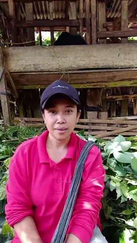 piye pengalamanmu lur