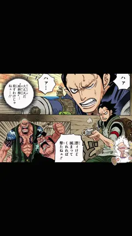 ONE PIECE 1159 SPOILER  🐲 DRAGON  DAVY D JONES XEBEC SHAKUYAKU  MONKEY D GARP  #onepiece #ANIME #dragon #spoiler #marine 