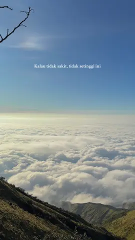 Lebih memilih melihat lautan awan 🫠 #merbabu #pendakitersakiti #foryou 