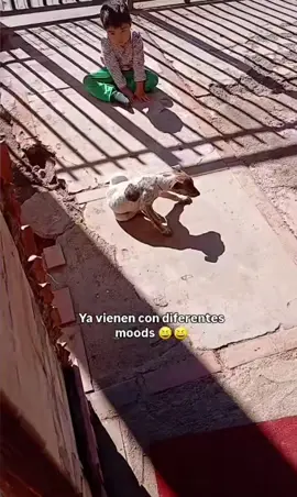 #viralvideo #fypシ #lsergiosd #trending #fypシ゚viral 