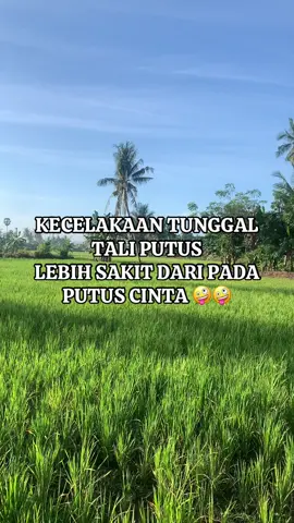 Ele mni iruntu ku galunna tawe sappo 😅😅😅#layanganjana #layangan #pitupitubugis #layanganjanaksoppeng #layanganbugis 