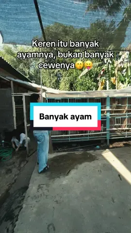 Bener apa betul😝 #trend #ayam #peternakmuda #katakata #fyp 