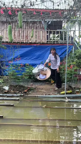 Bình thường đã mệt chồng bài còn mệt thêm #tuncuibap2 #tuncuibap2🌽🌽🌽 