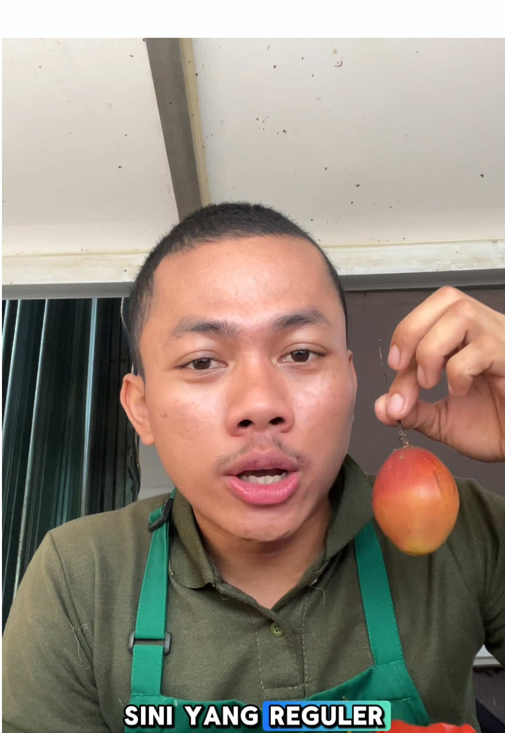 BIASA AJA rasa terong Belanda #niagarafruit 