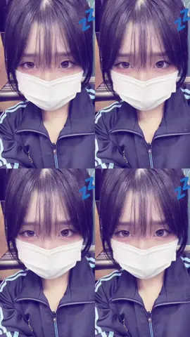 눈모으기장인