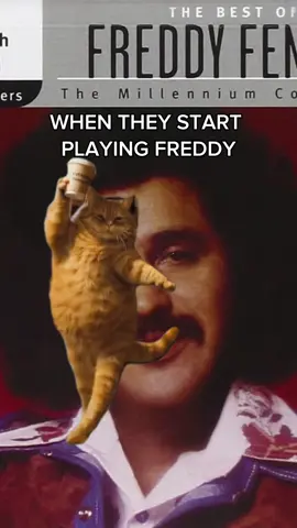 Reminds me of me & sister Julia’s party days! #dancingcat #freddyfender #catmeme