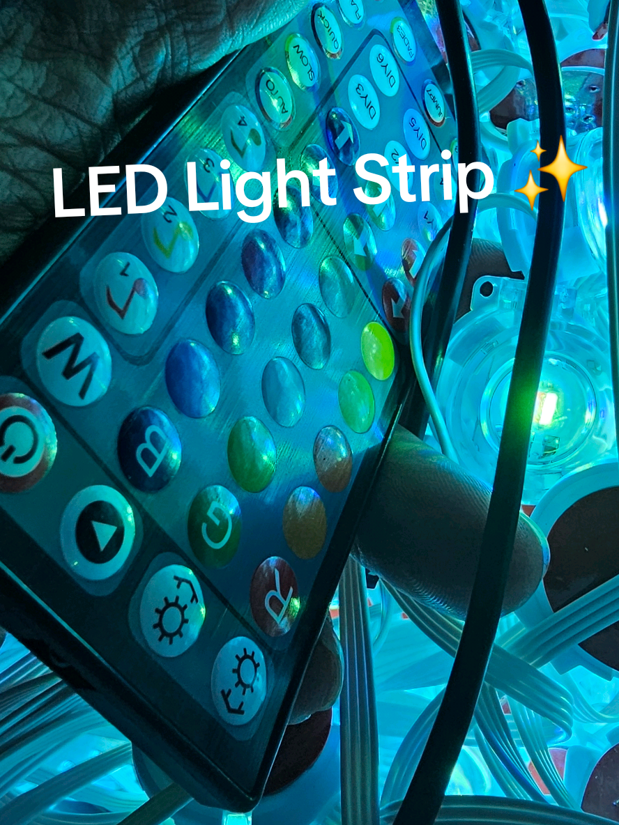 LED Light Strip ✨️ Happy Holidays 😊 😃 Lights!  #houselights #ledlightstrip 
